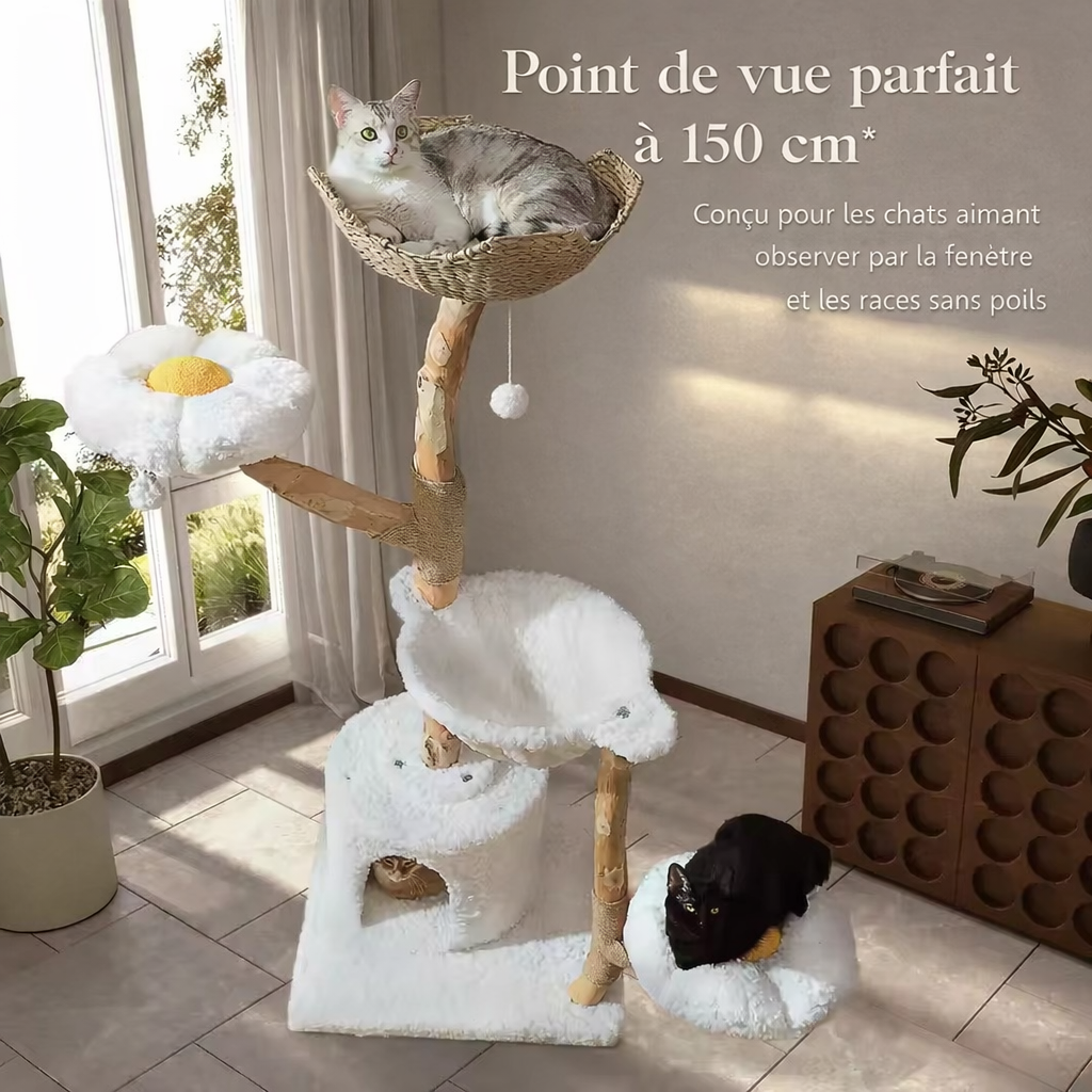 Arbre à chat Nuage 150CM