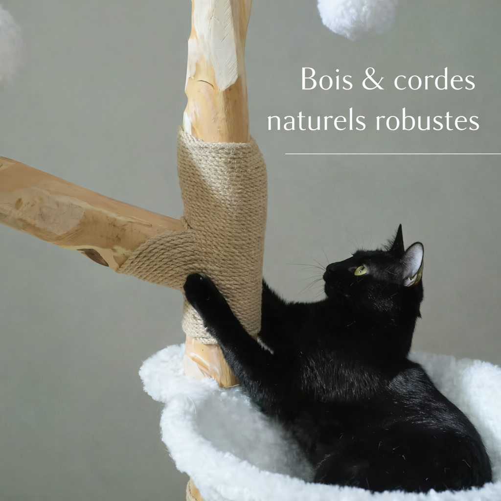 Arbre à chat Nuage 150CM