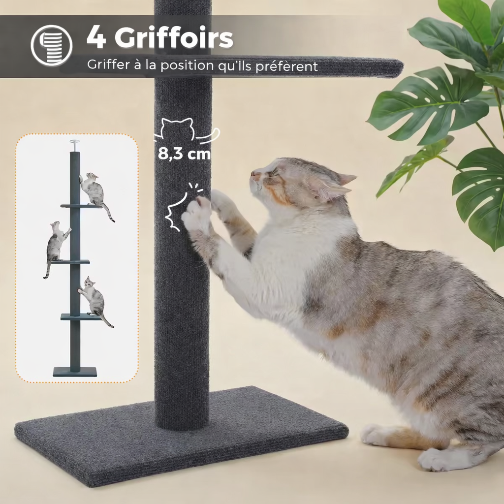 Arbre à chat Poteau 230 CM