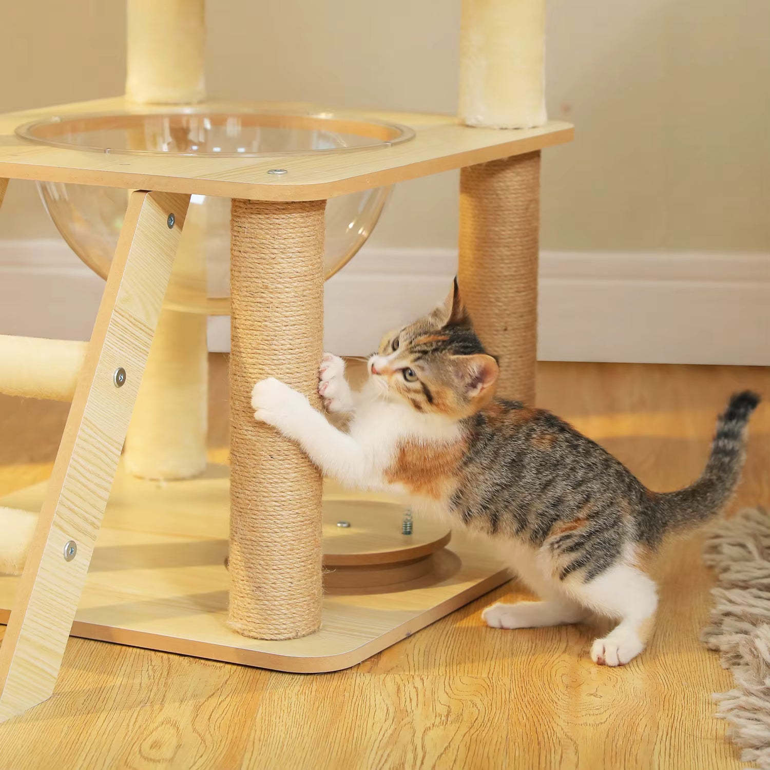 Arbre à chat en bois Viseo 150 CM