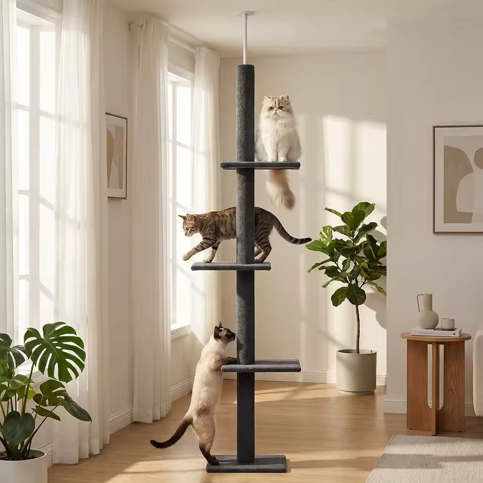 Arbre à chat Poteau 230 CM