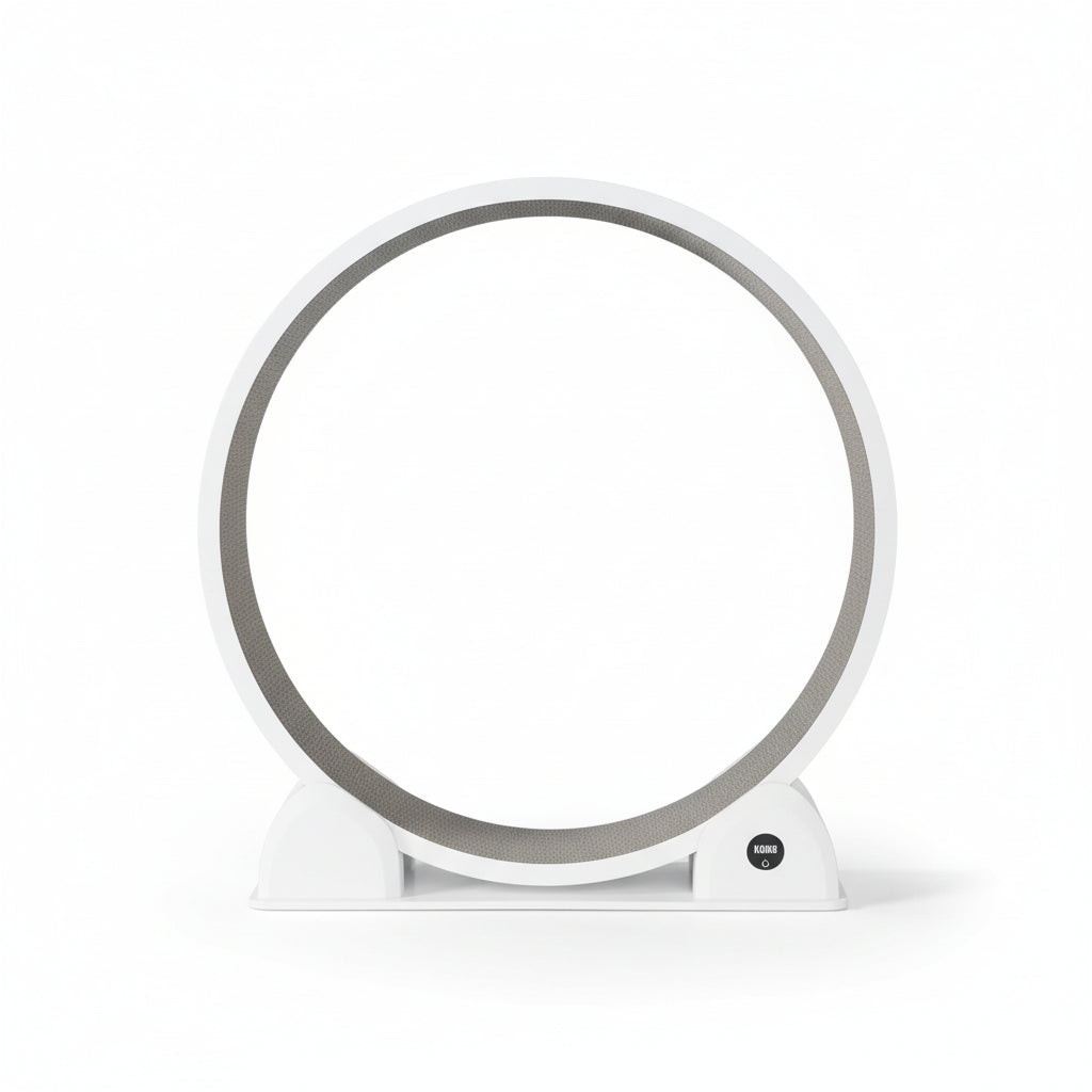 Roue D’exercice Pour Chat Mouvement Signature - Équilibre & Activité